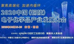 中国电子厂爆料事件视频,揭开行业黑幕的真相视频曝光